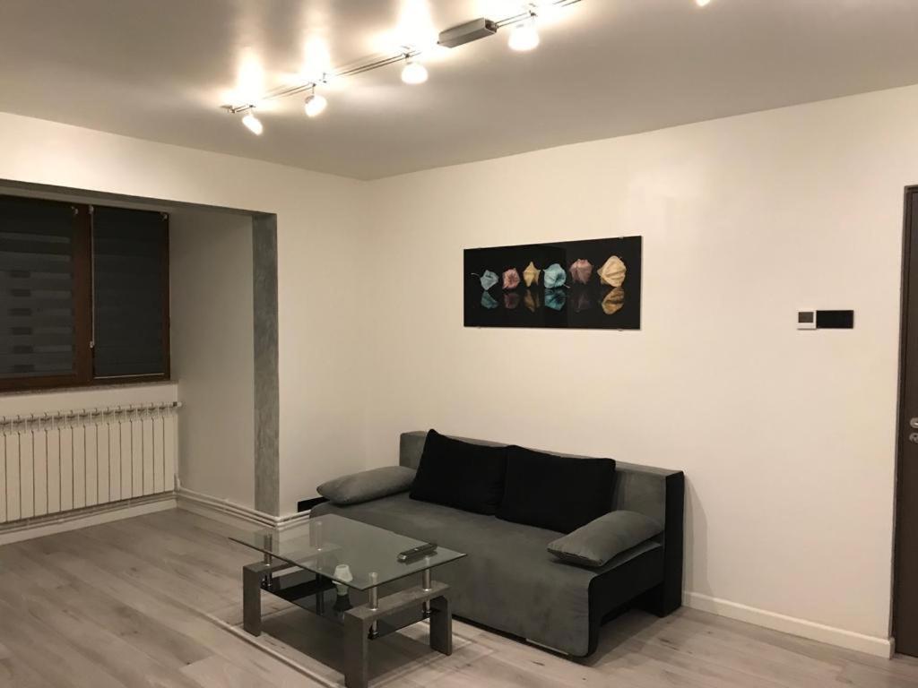 Elegant & Silver Luxury Apartament Craiova Kültér fotó